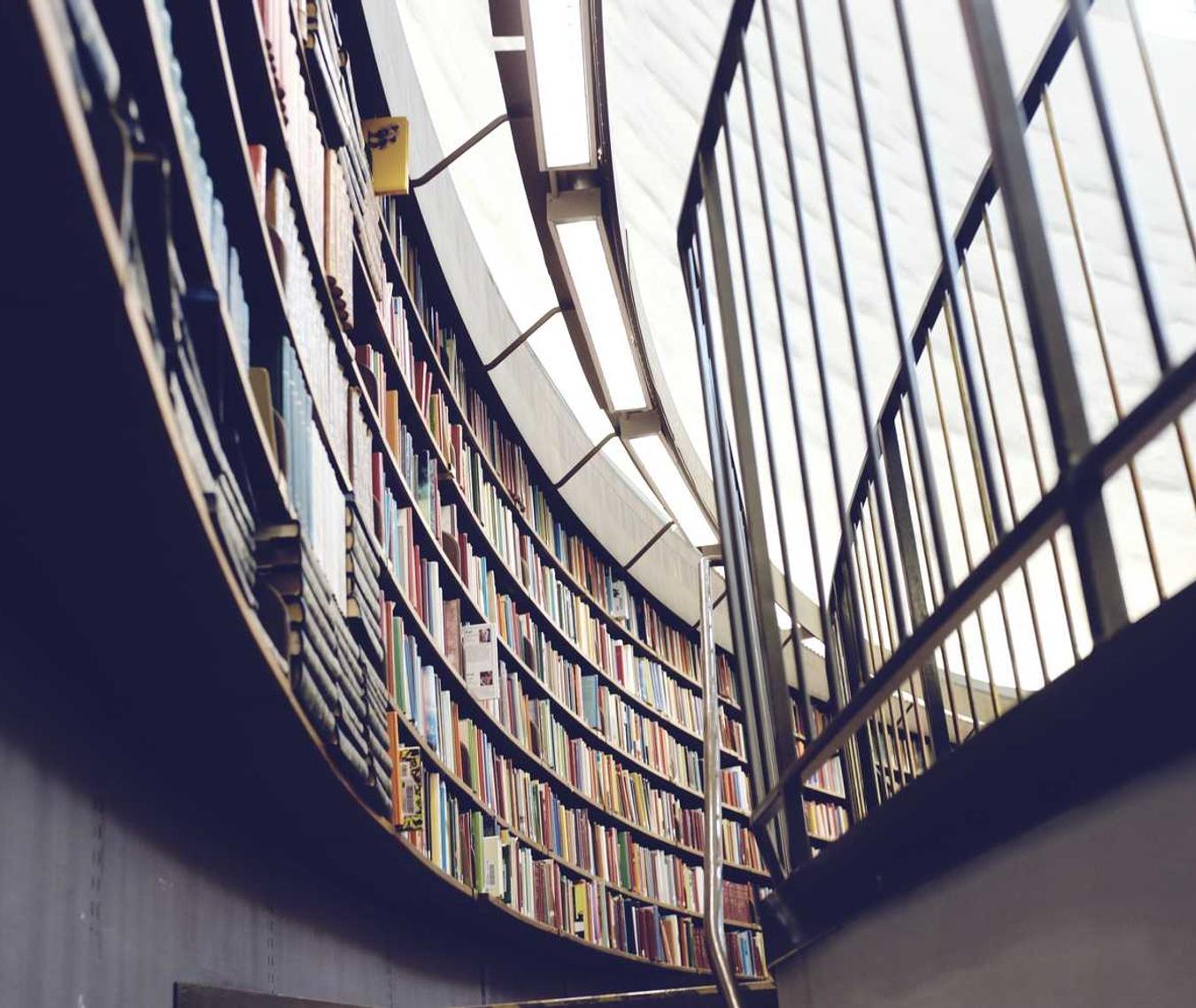 如何使用SEO支持您在当下的市场中创造机会