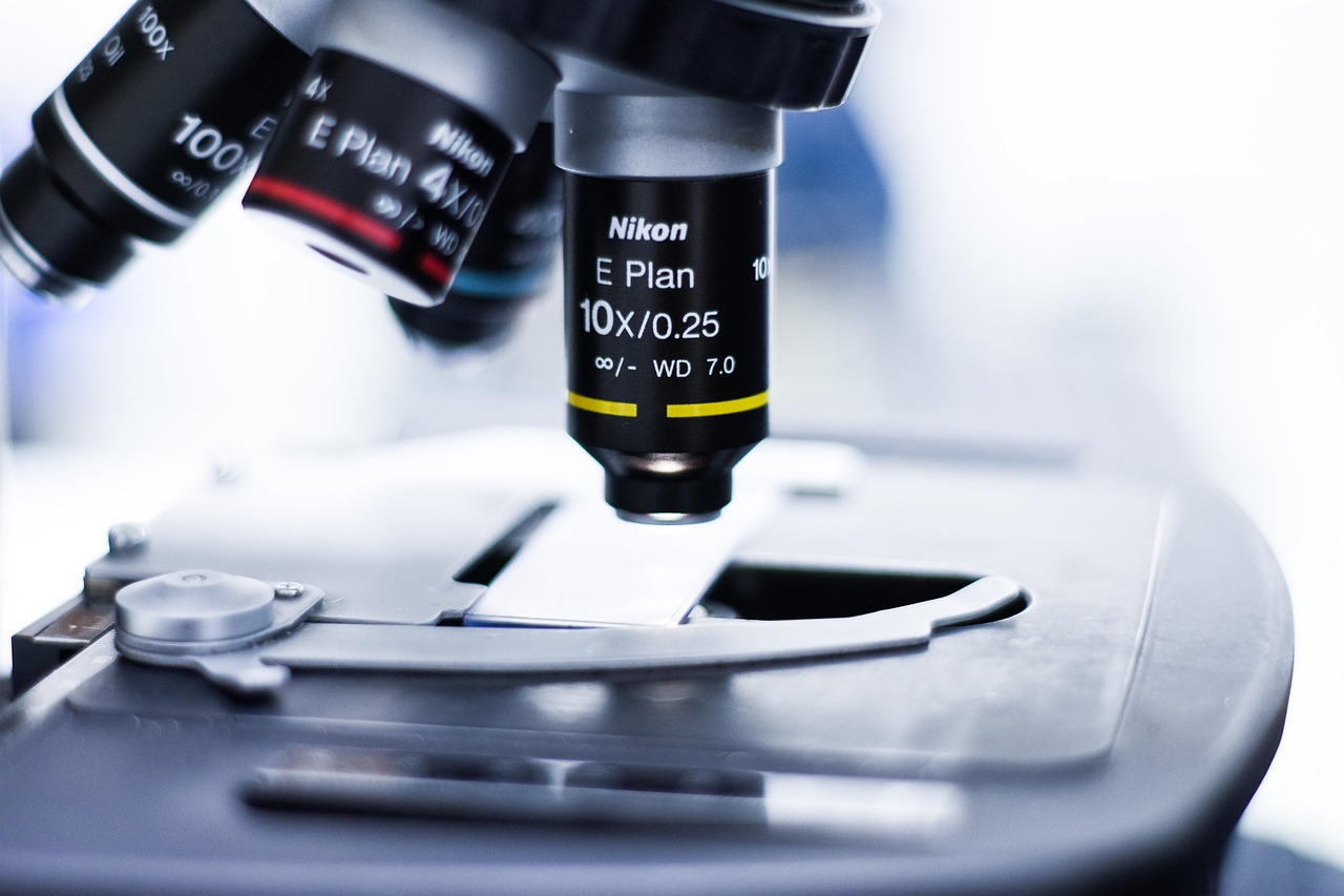 朗玛移动实名账号：茶山代理公司注册费用