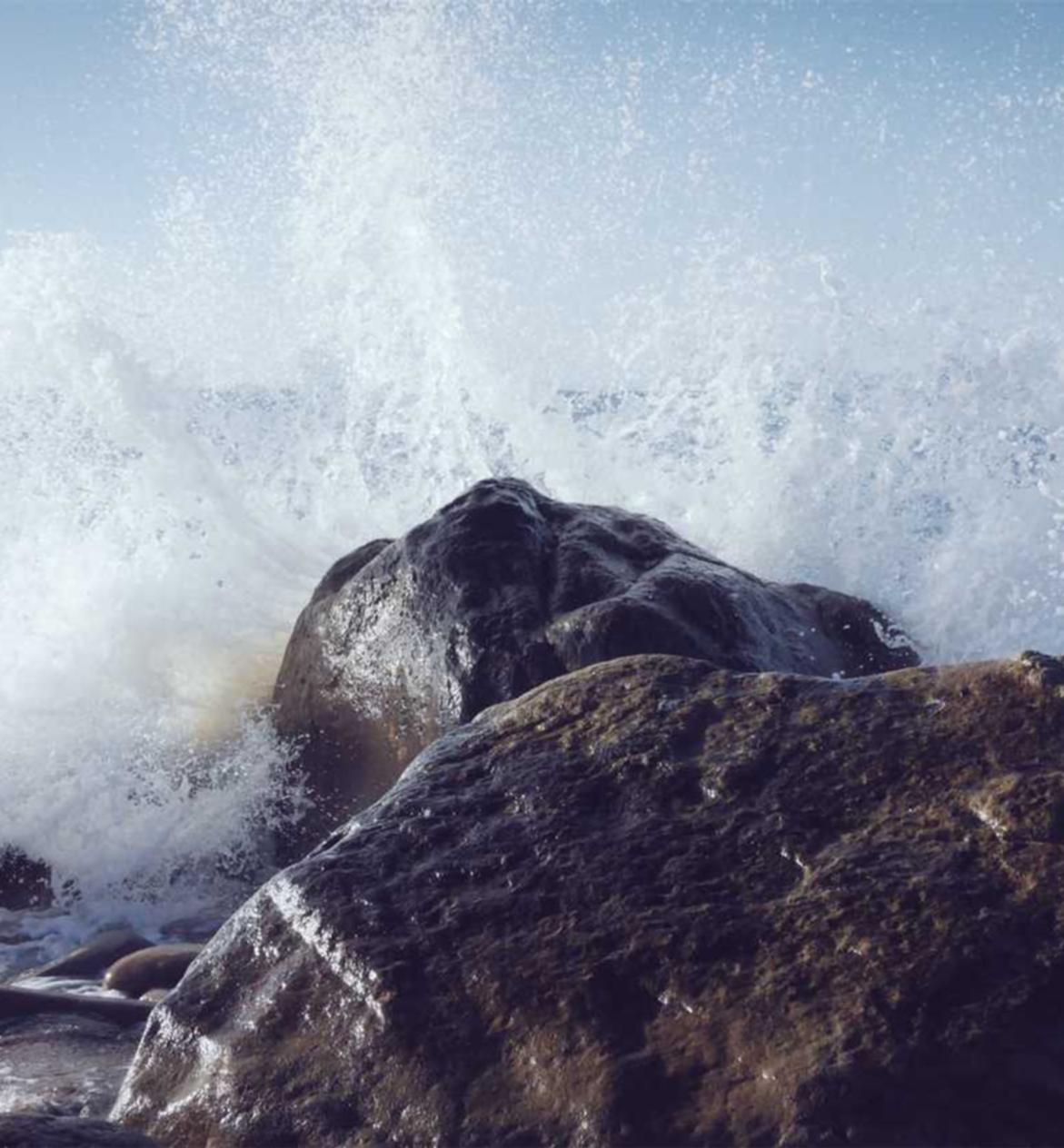 百合网实名账号:冷库设备购买平台
