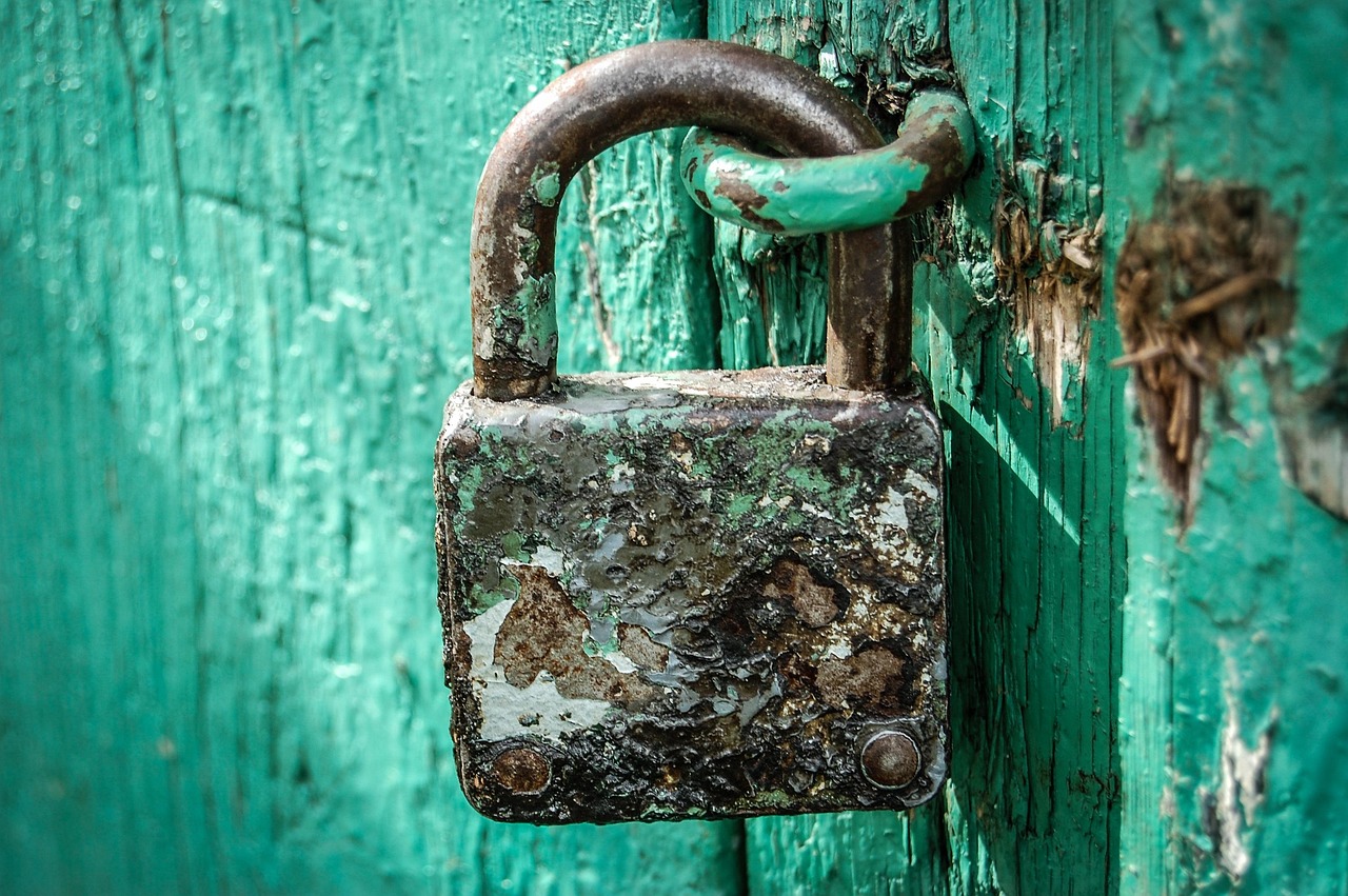 Mond梦都西瓜:贵州茅台代理商查询平台